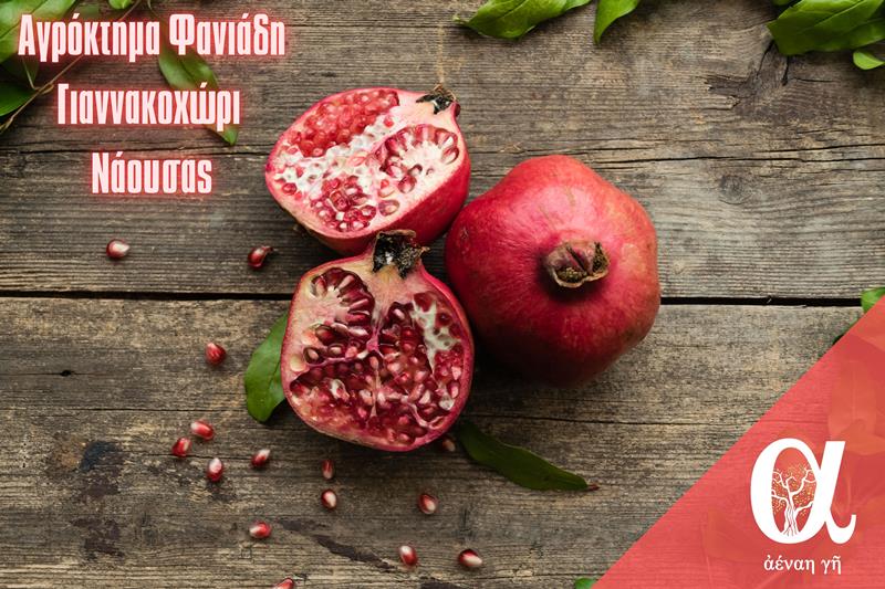 Ρόδι: Το φρούτο της καλοτυχίας με τις ευεργετικές ιδιότητες στο οπωροπαντοπωλείο «Αέναη γη» 