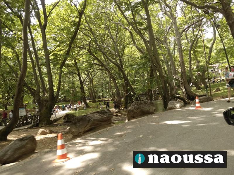 Αισθητά βελτιωμένη η εικόνα των παρκαρισμένων αυτοκινήτων στο άλσος του Αγίου Νικολάου Νάουσας
