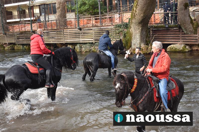 Θεοφάνεια: Με άλογα στον αγιασμό των υδάτων στη Νάουσα