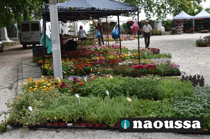 Άνοιξε τις πύλες της η  13η Ανθοκομική Έκθεση του Δήμου Νάουσας
