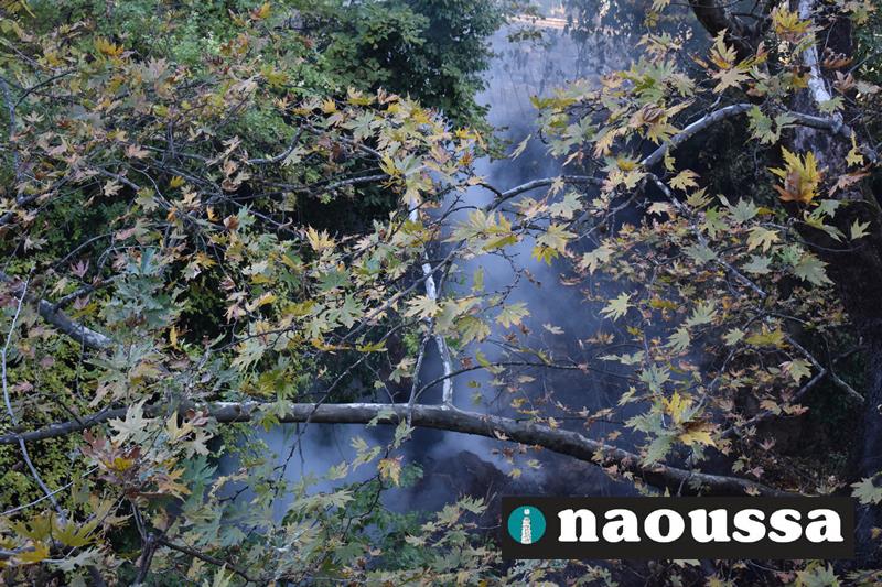 Η εικόνα του δημοτικού πάρκου Νάουσας με το πρώτο φως της ημέρας