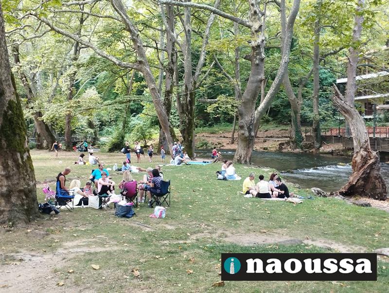 Κυριακάτικο Πικ Νικ στο άλσος του Αγίου Νικολάου Νάουσας