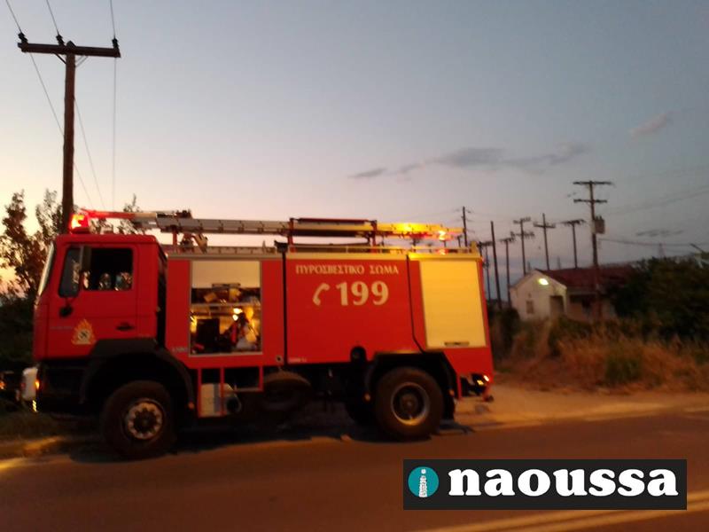 Άμεση επέμβαση της ΠΥΝ σε φωτιά στον υποσταθμό της ΔΕΗ στη Νάουσα