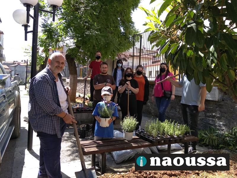 «Μία ρίζα για τις ρίζες μας»- Φυτεύσεις και καλλωπισμός στους χώρους περιμετρικά του 5ου Δ.Σ από την Εύξεινο Λέσχη Ποντίων Νάουσας - Εθνική Βιβλιοθήκη Αργυρουπόλεως «Ο Κυριακίδης»