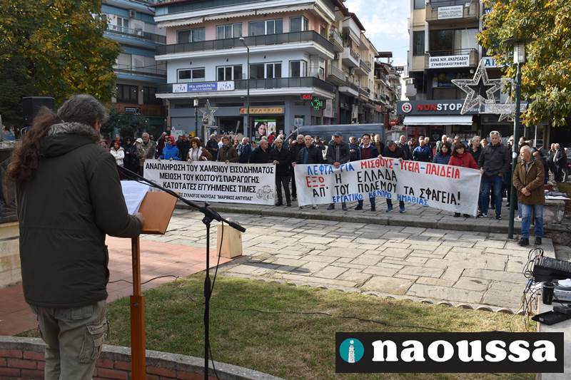 Δυναμική απεργιακή κινητοποίηση στη Νάουσα (video+φωτορεπορτάζ)