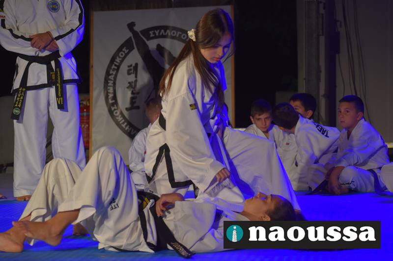 Εντυπωσιακή επίδειξη από  Taekwon-do της Νάουσας στο 10ου Φεστιβάλ Artville