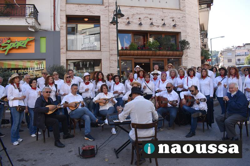 Υπέροχο Σαββατιάτικο πρωινό με «Καντάδες για κρασί» από το Μουσικό Σωματείο «Ωδείο Ναούσης» (video+φωτορεπορτάζ)