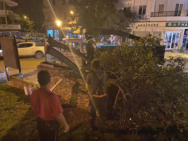 Επί ποδός τα συνεργεία του Δήμου Νάουσας για την αποκατάσταση ζημιών που προκάλεσαν οι ισχυρές βροχοπτώσεις και οι άνεμοι το απόγευμα του Σαββάτου