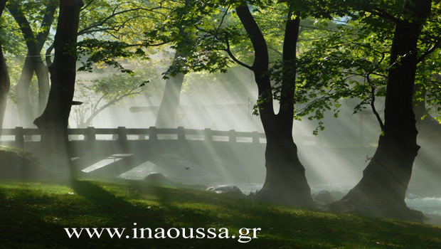 agios