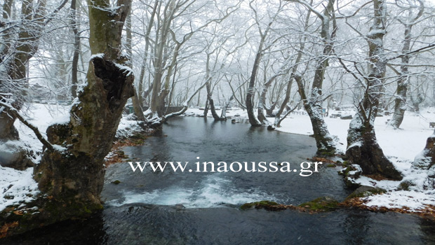 agios