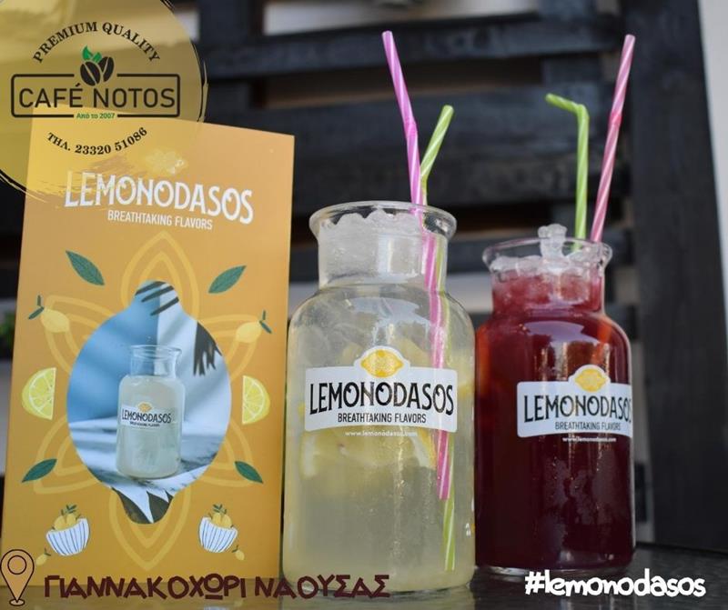Δροσιστικοί χυμοί φρούτων Lemonodasos στο «Notos café» στο Γιαννακοχώρι Νάουσας