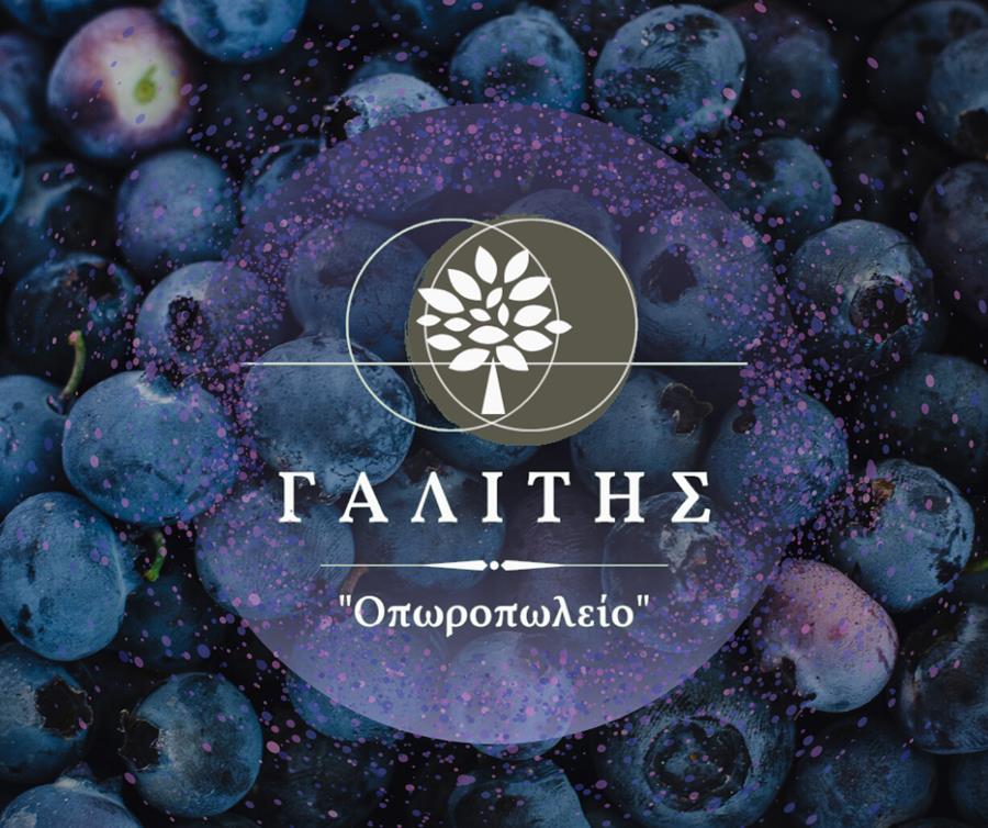 Μύρτιλο: Το ελιξίριο της μακροζωίας στο «Οπωροπωλείο Γαλίτης»