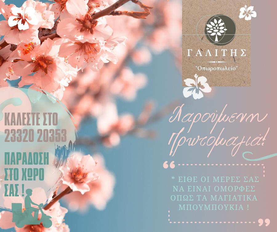 Πρωτομαγιάτικο τραπέζι γεμάτο φρέσκα φρούτα και λαχανικά από το «Οπωροπωλείο Γαλίτης»
