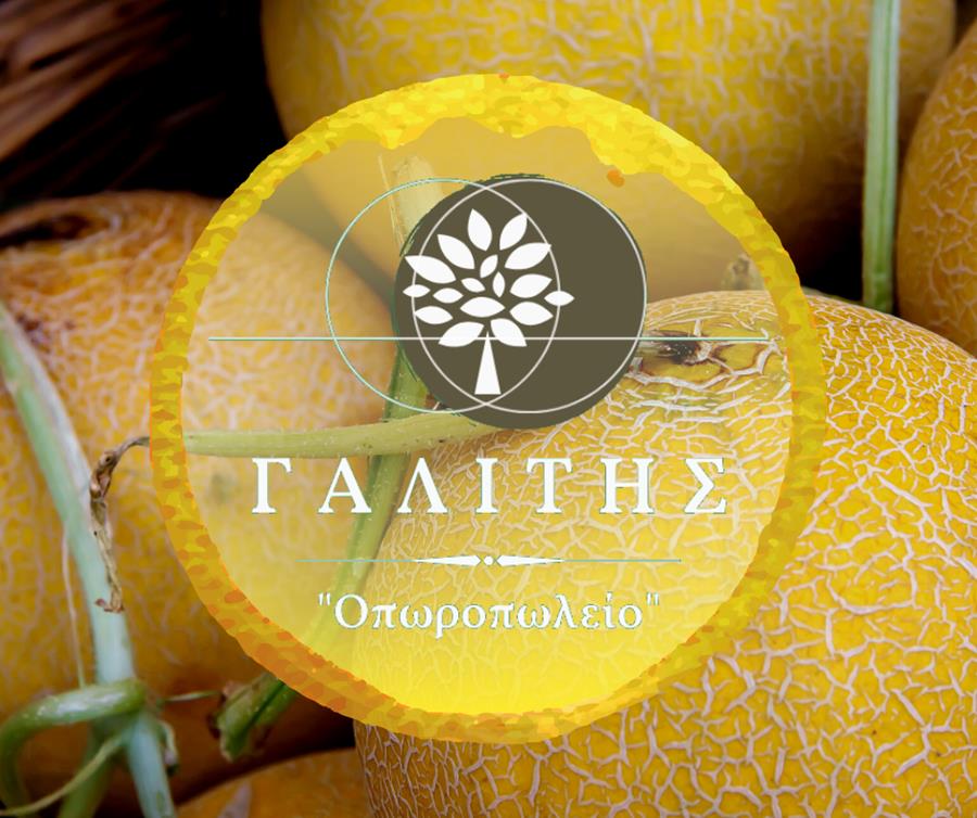 Χρυσαφένια, νόστιμα και αρωματικά  πεπόνια στο «Οπωροπωλείο Γαλίτης»