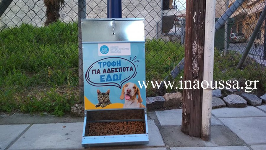 Τροφή και ελπίδα για τα αδέσποτα ζώα της Νάουσας-Σε κεντρικά σημεία οι ταΐστρες του δήμου Νάουσας