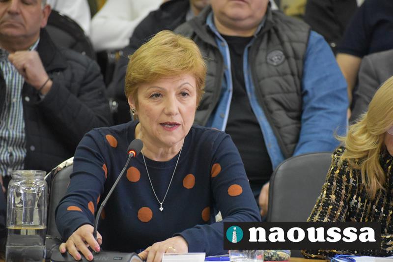 Οι ερωτήσεις της κας. Ίλιας Ιωσηφίδου στο δημοτικό συμβούλιο της Πέμπτης (video) 