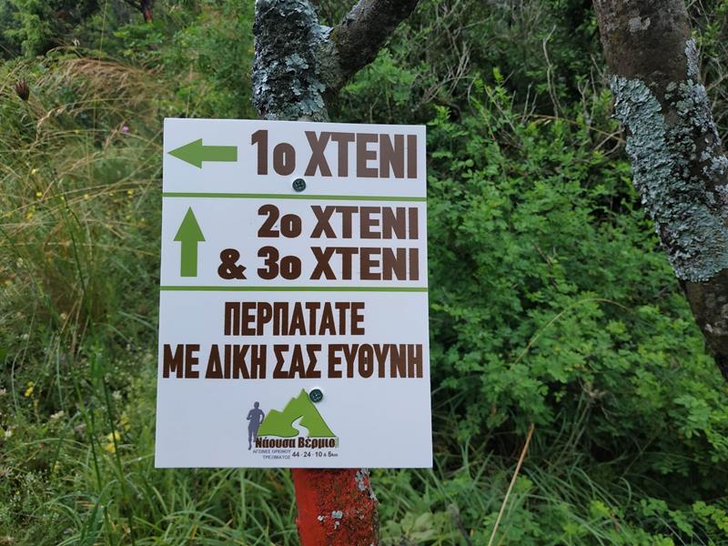 xte