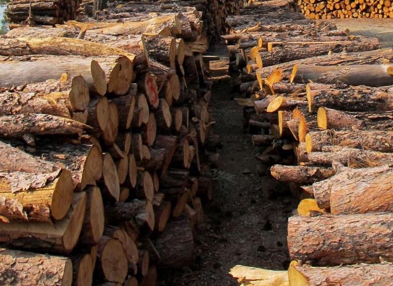 ΔΙΑΘΕΣΗ ΚΑΥΣΟΞΥΛΩΝ ΣΕ ΕΥΠΑΘΕΙΣ ΟΜΑΔΕΣ ΤΟΥ Δ. ΝΑΟΥΣΑΣ ΓΙΑ ΤΟ 2024