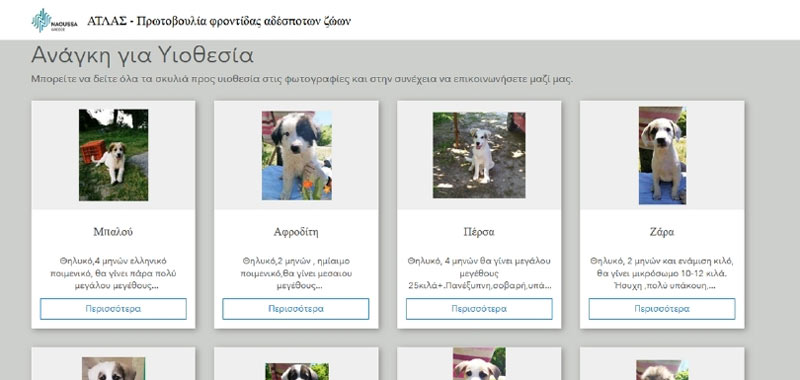 Ανάγκη για Υιοθεσία-Το εργαλείο του δήμου Νάουσας για την υιοθεσία σκύλων