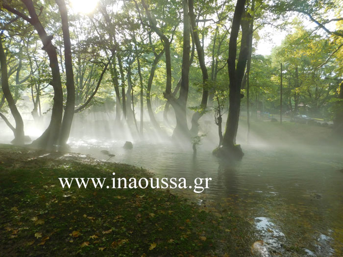Τροποποίηση Κανονισμού Λειτουργίας κοινόχρηστων Χώρων Δήμου Νάουσας για την πραγματοποίηση θρησκευτικών εορτών και λοιπών εκδηλώσεων