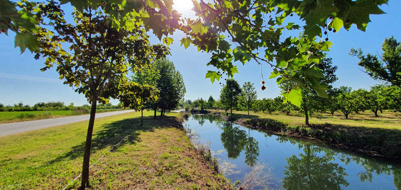 Αφιέρωμα στον Υδροβιότοπο «Μαρίτσα» του Παλαιού Ζερβοχωρίου από το naoussa.gr