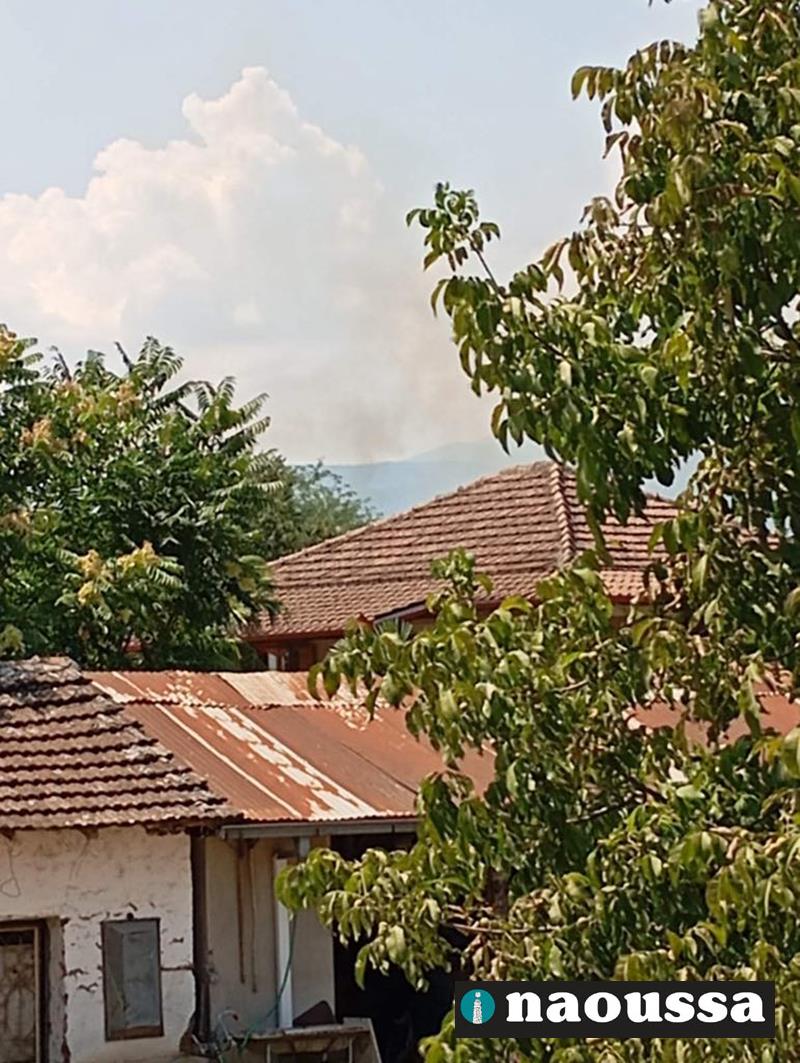 Φωτιά σε ξερά χόρτα στην είσοδο των Μονοσπίτων