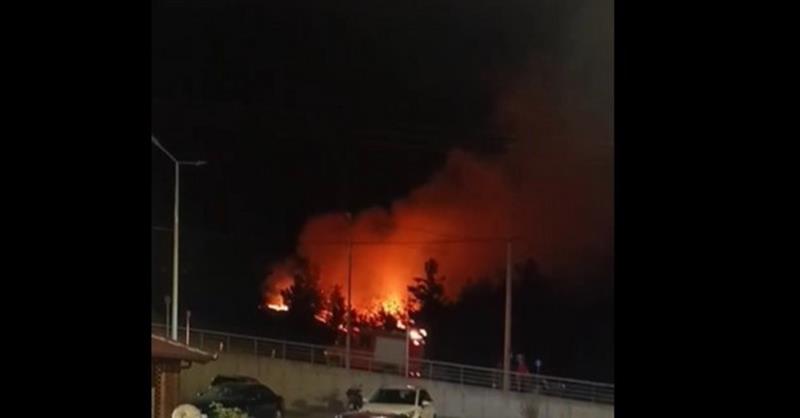 Απαγόρευση κυκλοφορίας στη περιοχή ευθύνης του Δασαρχείου Βέροιας