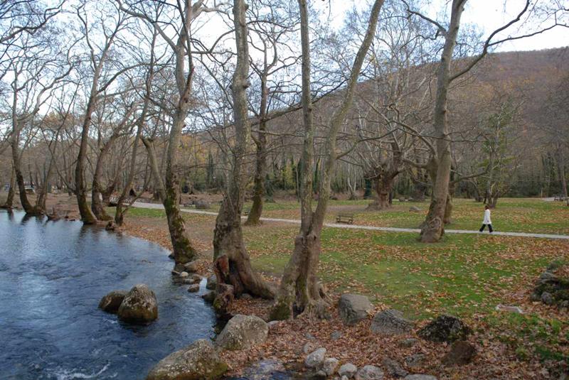Ενημέρωση της Διεύθυνσης Περιβάλλοντος για το  Άλσος του Αγίου Νικολάου Νάουσας