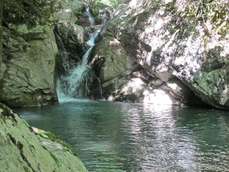 Β Α Θ Ρ Ε Σ ΜΕΤΑΜΟΡΦΩΣΗΣ - Κυριακή 4 Αυγούστου 2024