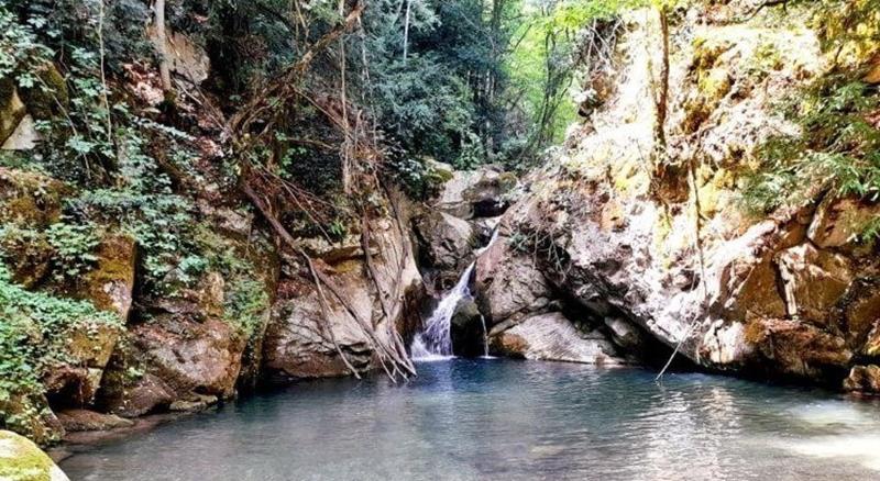 Βάθρες Μεταμόρφωσης - Σειρήνες - Κυριακή 25/8/2024-Ανάβαση στο Βέρμιο, στα 1000 μέτρα ποιήσεων