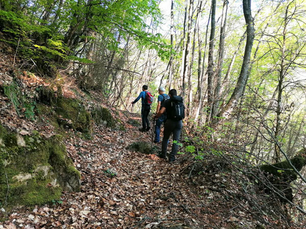 Μονοπάτια του Βερμίου-Έξω Υπαπαντή