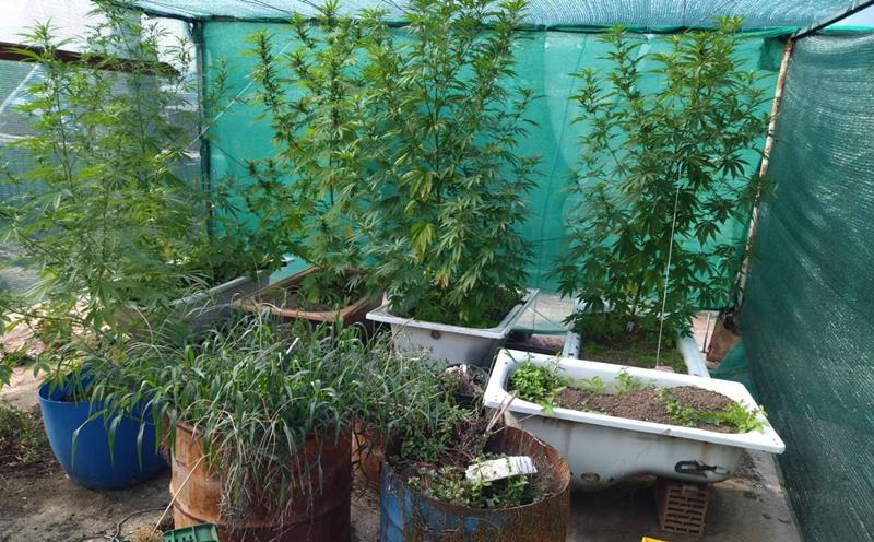 Σύλληψη ημεδαπού από τους αστυνομικούς του Τμήματος Ασφάλειας Νάουσας για ναρκωτικά 