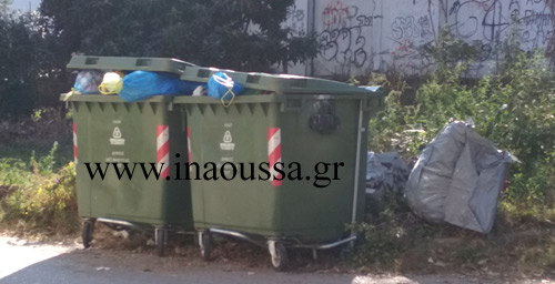 Ο δήμαρχος Νάουσας για την δυσοσμία και το πλύσιμο των κάδων απορριμμάτων 