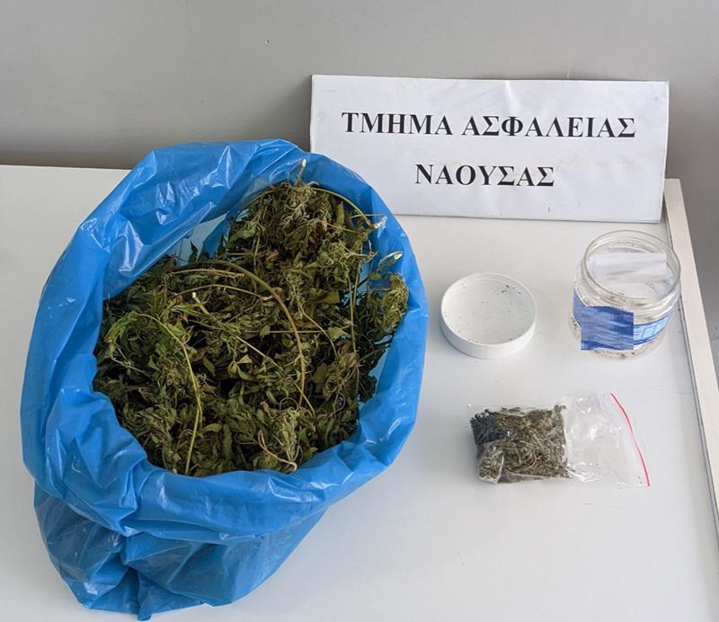 Σύλληψη ημεδαπού με ποσότητα κάνναβης από αστυνομικούς του Τμήματος Ασφάλειας Νάουσας