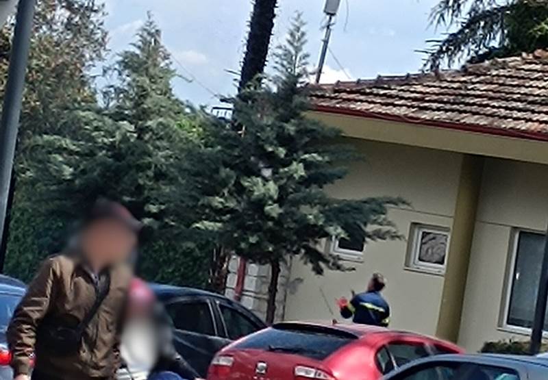 Φωτιά σε φοίνικα στην είσοδο του πρώην ΚΕΠ στο δημοτικό πάρκο Νάουσας το πρωί του Σάββατου