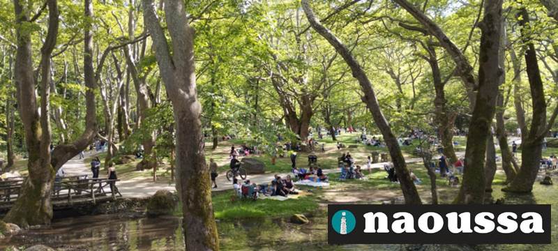 Κοσμοσυρροή στο άλσος του Αγίου Νικόλαου Νάουσας για την Πρωτομαγιά 