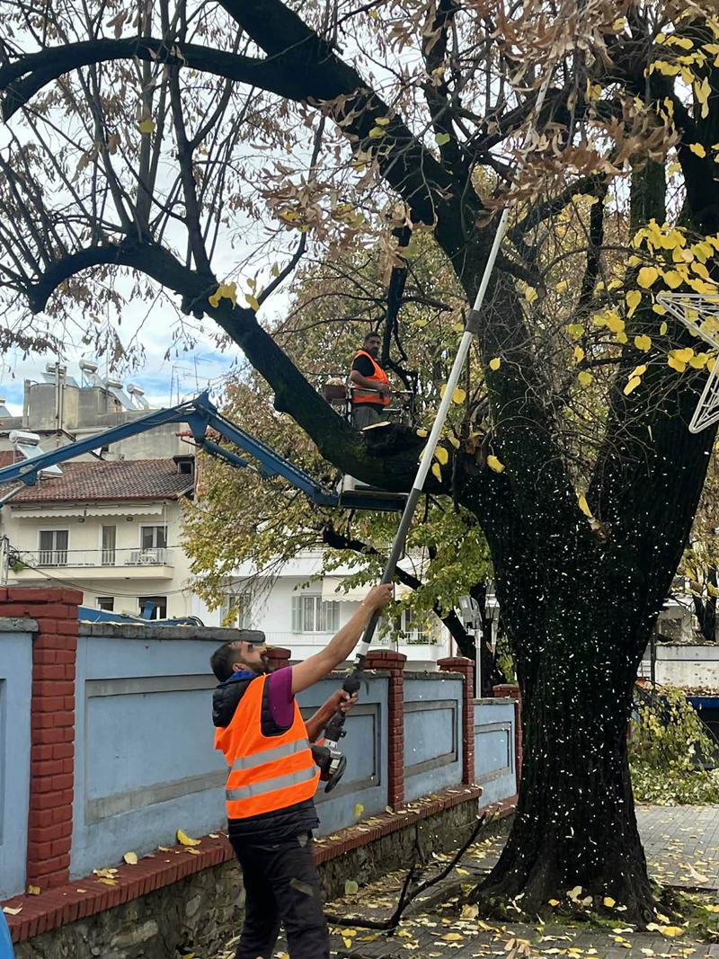 Παρεμβάσεις καλλωπισμού στο κέντρο της Νάουσας