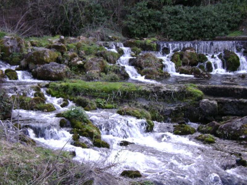 Άποψη επι του θέματος της εμφιάλωσης νερού από τις πηγές της Αράπιτσας από τους ΤΟΕΒ Αγροκτήματος Νάουσας, του ΤΟΕΒ Κοπανού - Αράπιτσας, του Αγροτικού Συνεταιρισμού Νάουσας, του ΑΣΕΠΟΠ Νάουσας και του ΑΑΟΣ ΒΑΕΝΙ ΝΑΟΥΣΑ