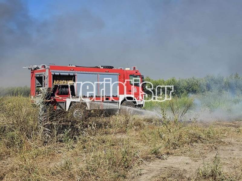 Φωτιά στο Μακροχώρι - Οι πυροσβέστες δίνουν μάχη με τις φλόγες - Σηκώθηκε και ελικόπτερο 