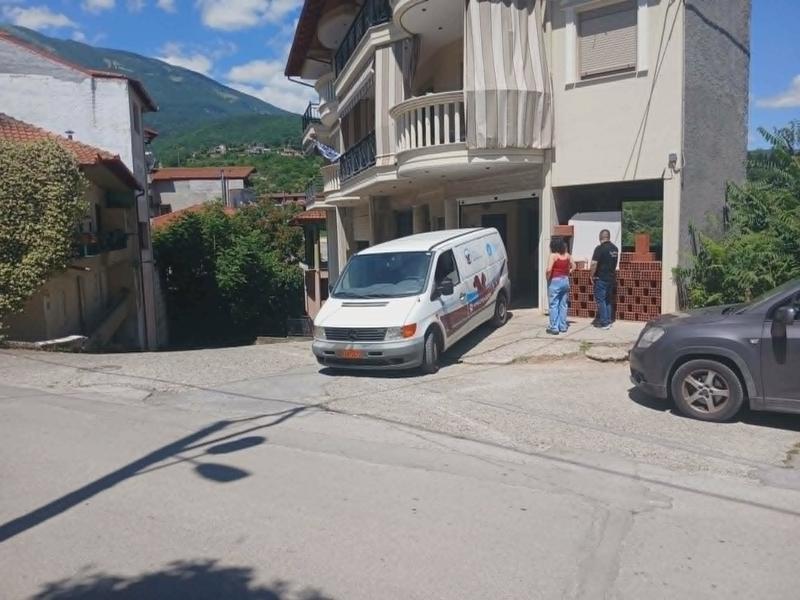 Διήμερη επιχείρηση περισυλλογής αδέσποτων ζώων στη Νάουσα 