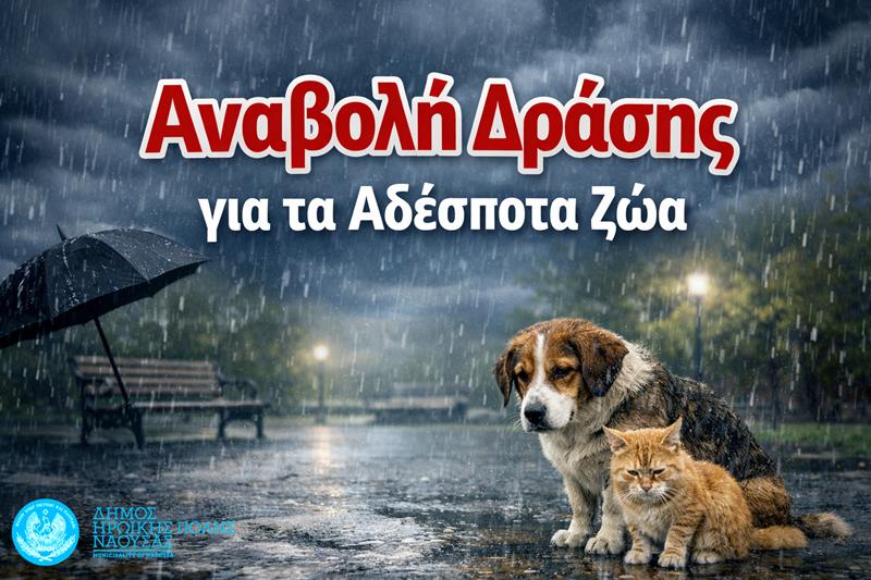 Αναβολή δράσης ευαισθητοποίησης για τα αδέσποτα ζώα λόγω δυσμενών καιρικών συνθηκών