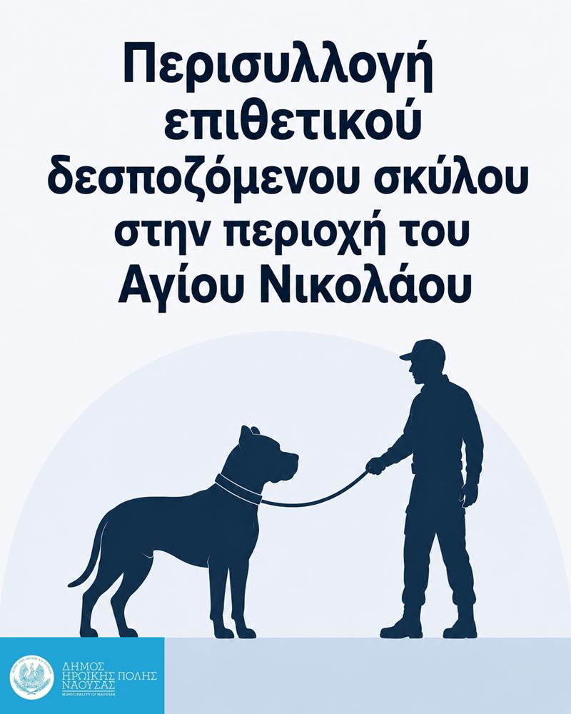 Άμεση παρέμβαση του Δήμου Νάουσας για την περισυλλογή επιθετικού δεσποζόμενου σκύλου στην περιοχή του Αγίου Νικολάου
