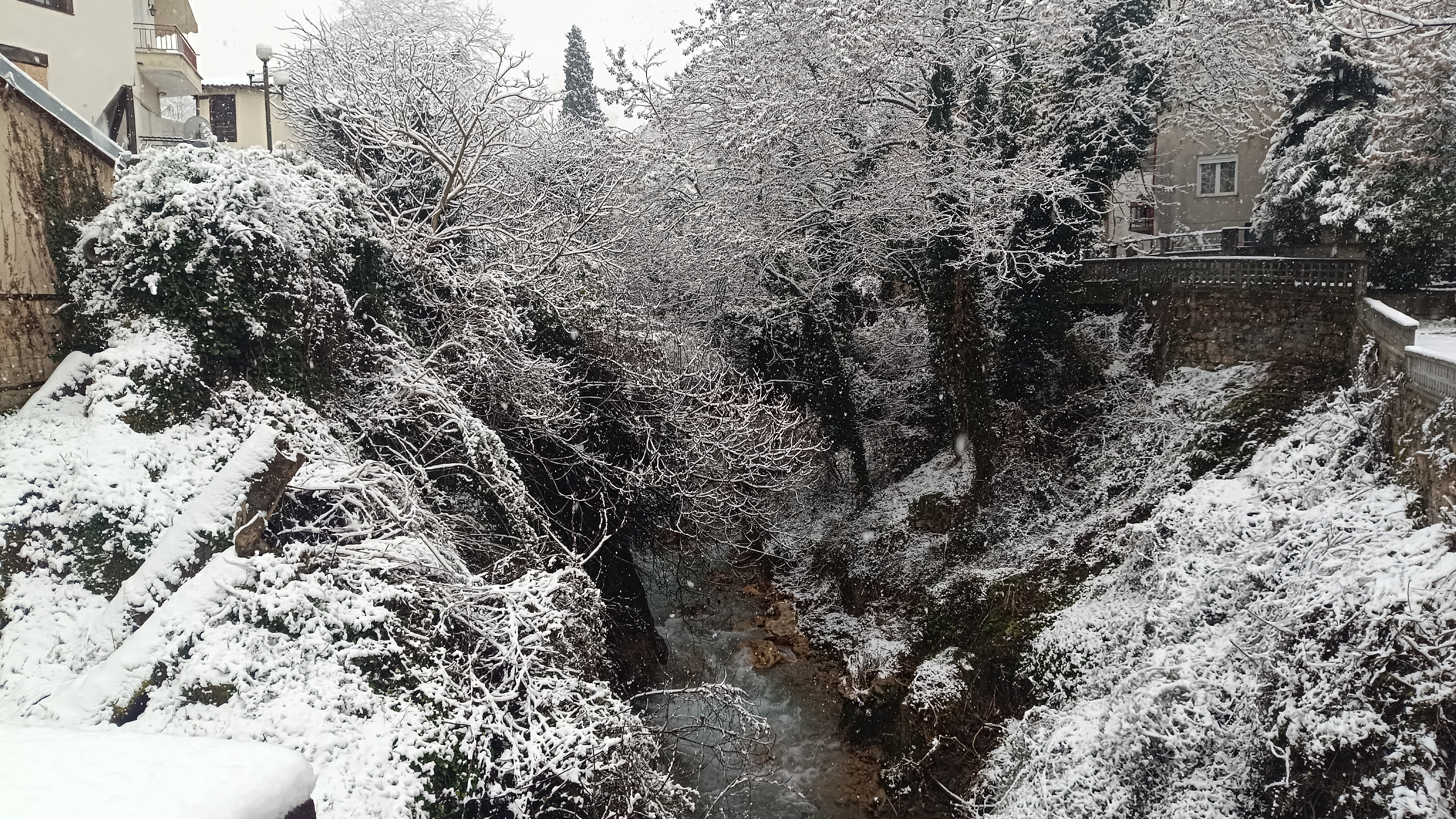Στα λευκά η Νάουσα – Κλειστά τα σχολεία και συστάσεις προς τους πολίτες λόγω των έντονων καιρικών φαινομένων