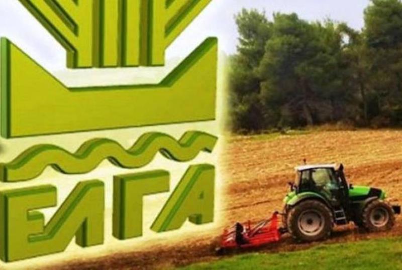 Κοινοποιήθηκαν οι πίνακες εκτιμήσεων ζημίας από χαλάζι στον Κοπανό και Ανεμοθύελλα στην Μαρίνα-Πολλά Νερά