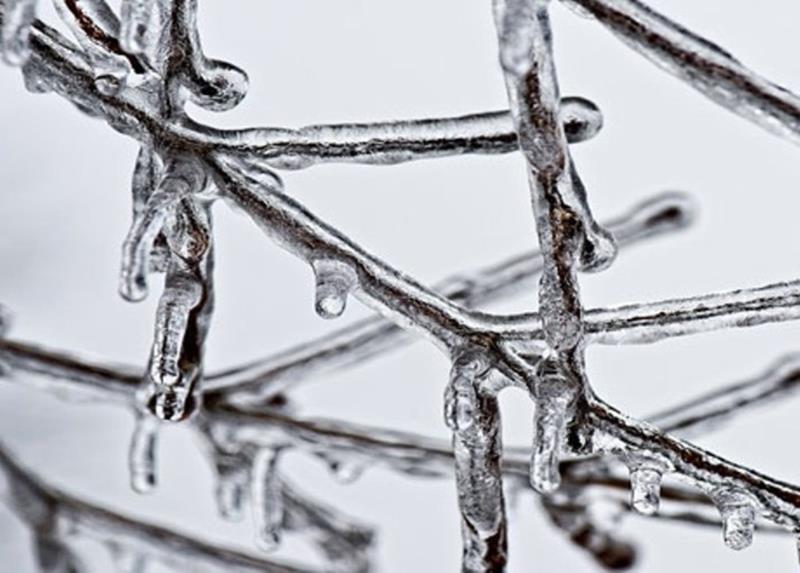 Πορίσματα παγετού 2023 για Λευκάδια – Μαρίνα – Πολλά Νερά